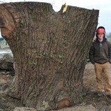 Hunski Hardwoods - Other in Antelope