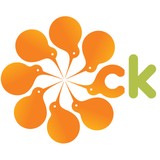 CitrusKiwi Web Solutions LLC - Web Design & Development in Citrus Heights