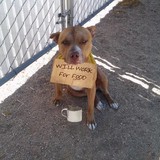 Jesus Christ Prison Ministries - Other in Lucerne Valley