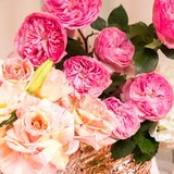 Embellishmint-Floral & Event - Other in National City