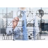 Bellucci Company LLC - Business Consulting in Murrieta