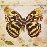 Judith Monroe Artise - Other in Antelope