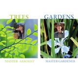 Encinitas Tree Services Green Tree - Tree Services in Encinitas