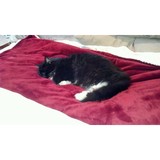 Katherine Codekas - Divorce & Family Law in Sacramento