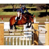 Equestrian Real Estate Inc - Other in Del Mar