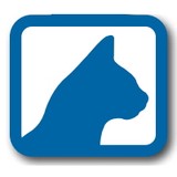 National Cat Protection Scty - Other in Spring Valley