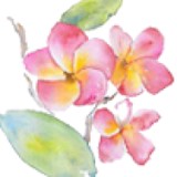 Adams Heather R DDS - Dentists in Chula Vista