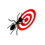 Pinpoint Pest Control - Pest Control in Oceanside