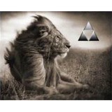 Abracadabra Marketing - Marketing in Carlsbad