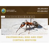 South County Pest Control - Pest Control in Temecula