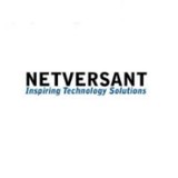 Netversant - Silicon Valley Inc - Other in Corona