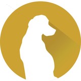 Yellow Dog Printing - Other in Corona