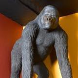 Mighty Kong Cafe - Restaurants in Sacramento