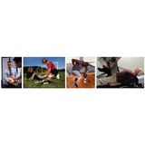 Brodbeck Steven DC - Chiropractors in National City
