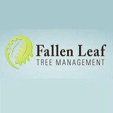 Fallen Leaf Tree Management - Tree Services in Sacramento