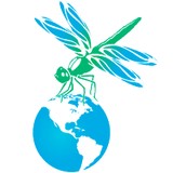 Ecoskan Pest Solutions - Pest Control in San Bernardino