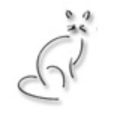 Miss Kitty's Fashion Boutique - Other in Antelope