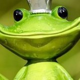 Frog's Fitness - Gyms in San Diego