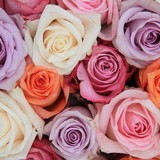 Healow's Flowers - Florists in San Francisco