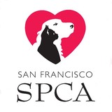 Maddie's Pet Adoption Center - Animal Shelters in San Francisco