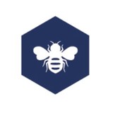 Bee Simplified - Interior Design in San Mateo