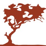 Half Moon Marketing - Marketing in Half Moon Bay