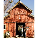 Cambria Nursery & Florist - Other in Cambria
