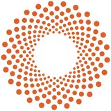 Mindful Body - Yoga in San Francisco