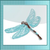 Blue Dragonfly Marketing Inc - Marketing in Santa Barbara