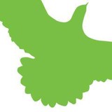 Green Bird Media Inc - Graphic Design in San Diego