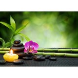 Lotus Sanctuary - Massage in San Diego