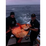 The Long Run SportFishing - Boat  & Yacht Charters in San Diego