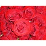 Nakayama Flowers LLC - Florists in Mountain View