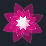 Water Lily Pond Floral Design - Florists in San Francisco