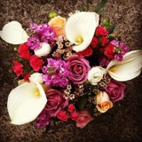 Florabella - Florists in San Diego