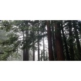 Mountain House Restaurant - Restaurants in Redwood City