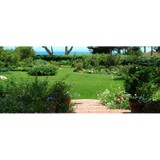 Let It Grow Landscapes - Landscaping in Santa Barbara