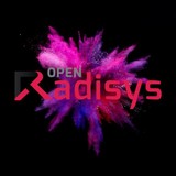 Radi Sys Corp - Computers in San Diego