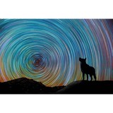 Westway Studio - Graphic Design in San Diego