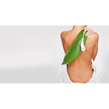 Hill Chiropractic & Wellness - Chiropractors in Vista