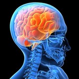 Five Cities Medical Imaging - Other in Pismo Beach