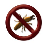 Bug Squad-Pow! Exterminating - Pest Control in San Diego