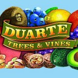 Duarte Nursery - Other in Linden