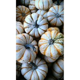 Nourished Balance - Nutritionists in San Diego