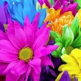 San Diego Vacation Rentals - Vacation Rentals in San Diego