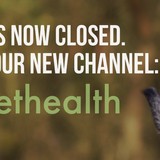 Veterinary Specialty Hospital - Veterinarians/Vets in San Diego