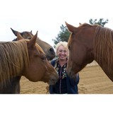 Hoofs And Woofs Animal Rescue - Other in Valley Center