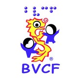 Viet Blind Children Foundation - Social Clubs in San Francisco