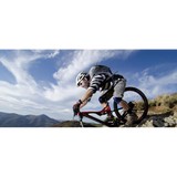 Action Sports Chiropractic - Chiropractors in San Diego