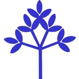San Diego Counties Development - Social Services in San Diego
